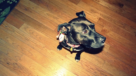 birthday party 120112 (84)_phixr